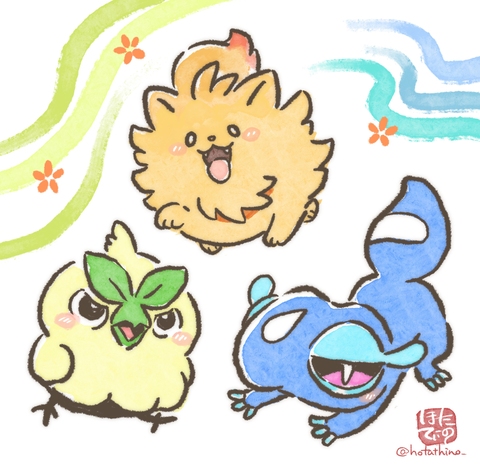 第10世代御三家ちゃん！