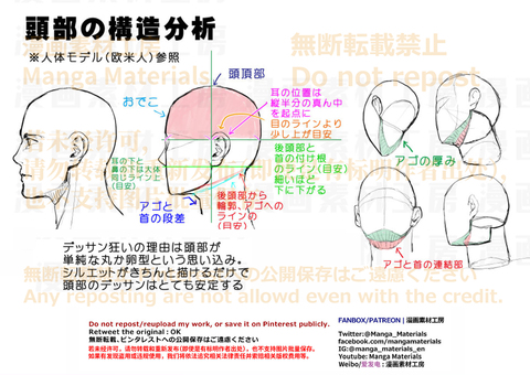 個人メモ：頭部の構造分析
