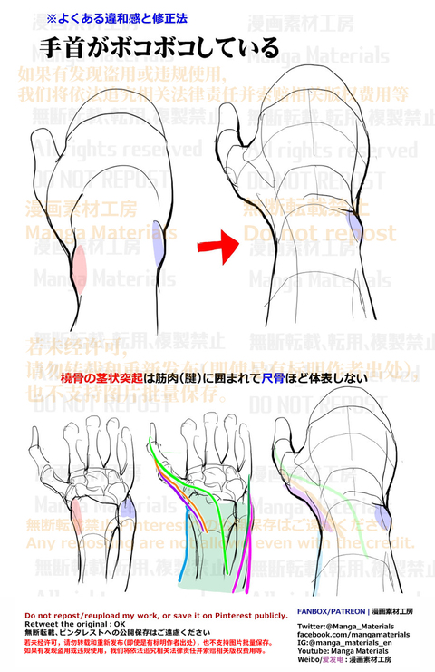 個人メモ：手首の突起