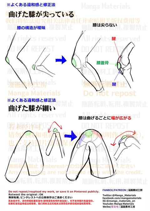 個人メモ：膝の構造