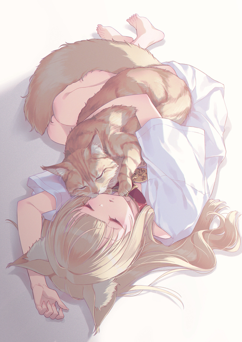 きなこと一緒にお昼寝するきなこ🐈🐾