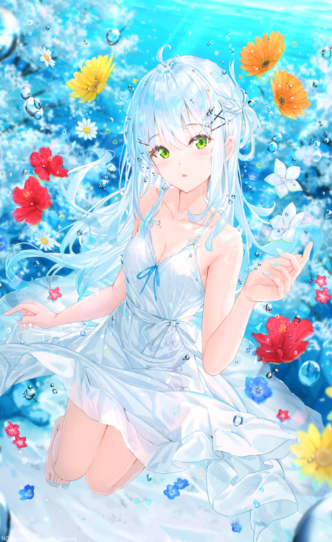 フラワーアクアリウム