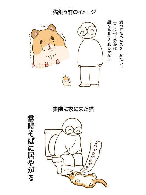 猫はじめました