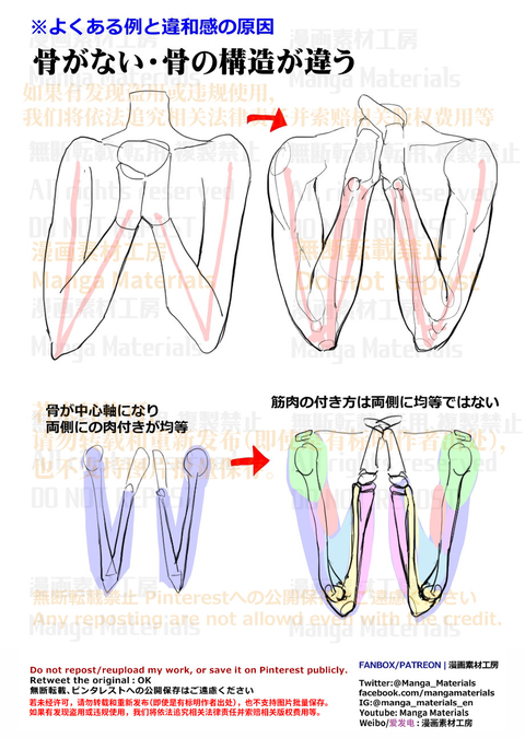 個人メモ：曲げた腕・骨の構造