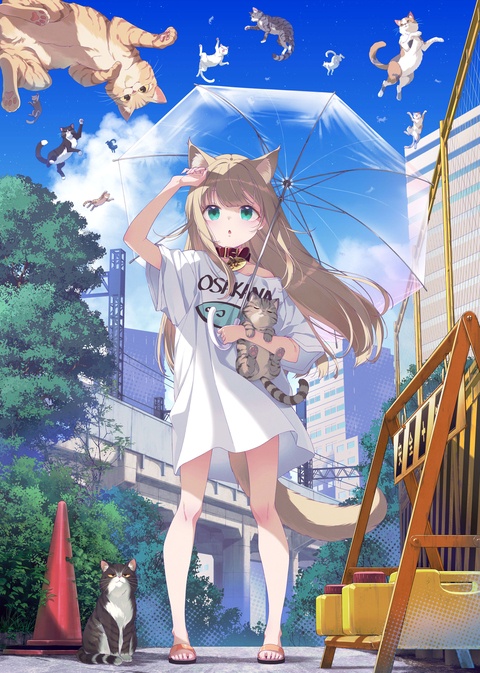 🌈 ハレ時々ねこ🐈