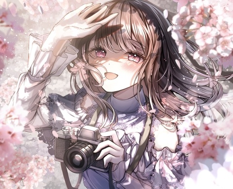 🌸📸
