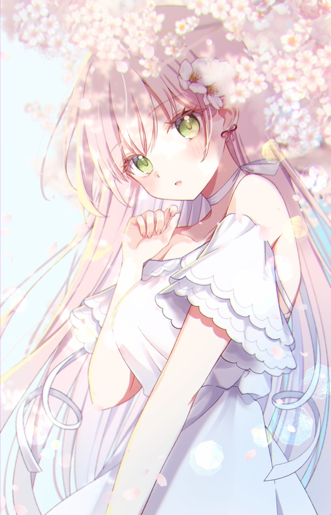 🌸.˚⊹⁺‧