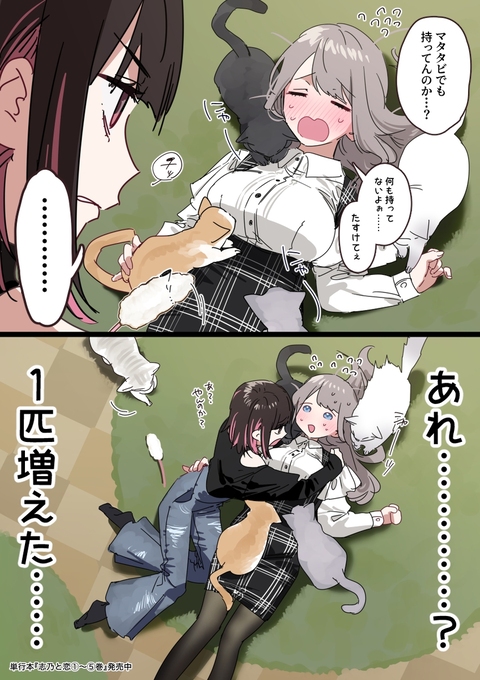 猫にジェラるネコ🐈&zwj;⬛