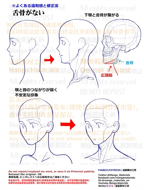 個人メモ：顎～首を繋ぐ舌骨