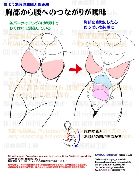 個人メモ：胸部～腰への立体