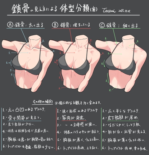 鎖骨の見え方の分類（案）