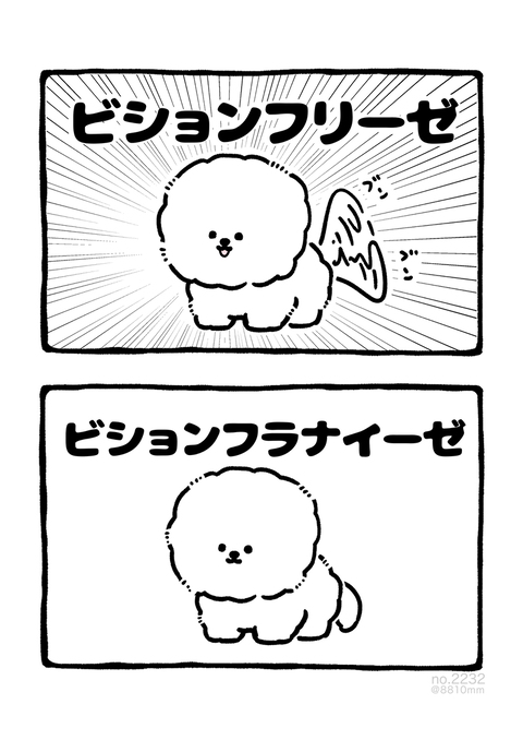 no.2232 『 ビションフリーゼ 』