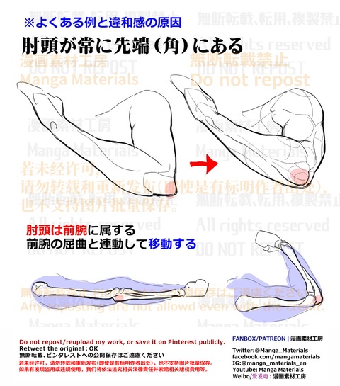 個人メモ：肘頭は前腕に属する