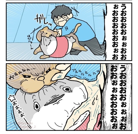LINEスタンプ案募集