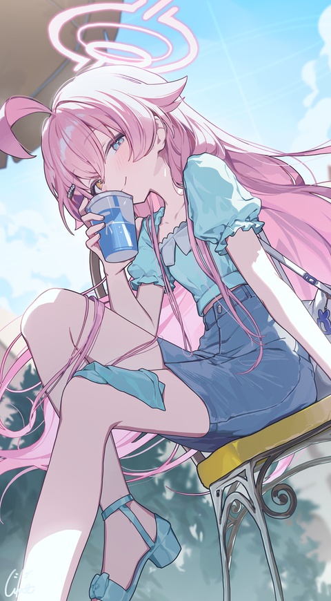 22日目 小鳥遊ホシノ