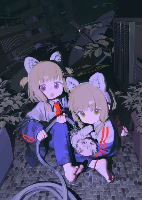 你有找到我的猫咪吗