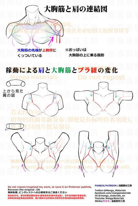 個人メモ：肩の可動/肩と大胸筋の変化