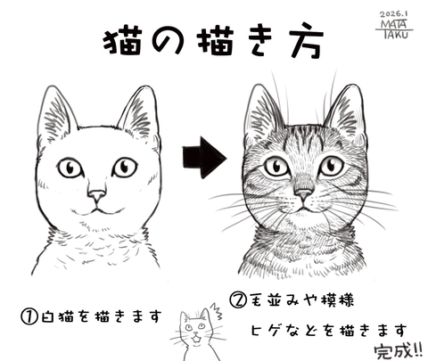 猫の描き方講座