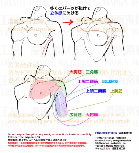 個人メモ：腋周りの筋肉
