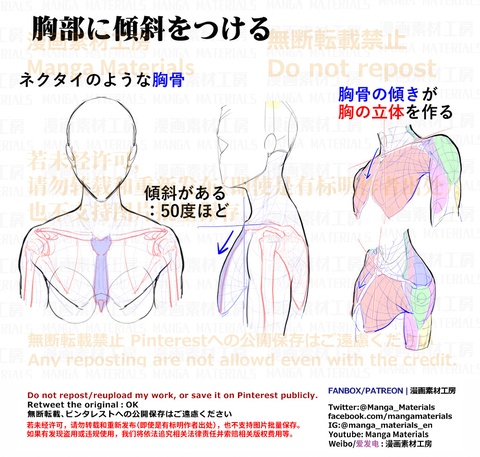 個人メモ：胸骨の傾き