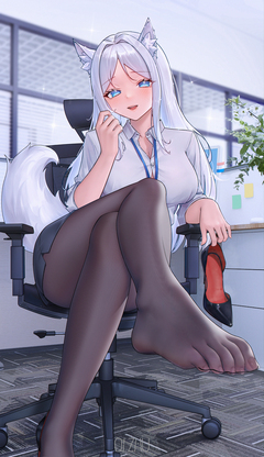 P站日榜