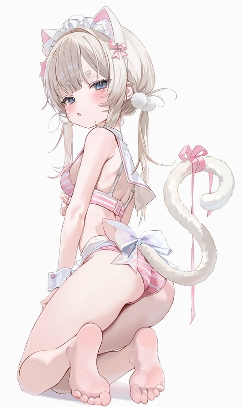 セーラーねこ⚓️🐾