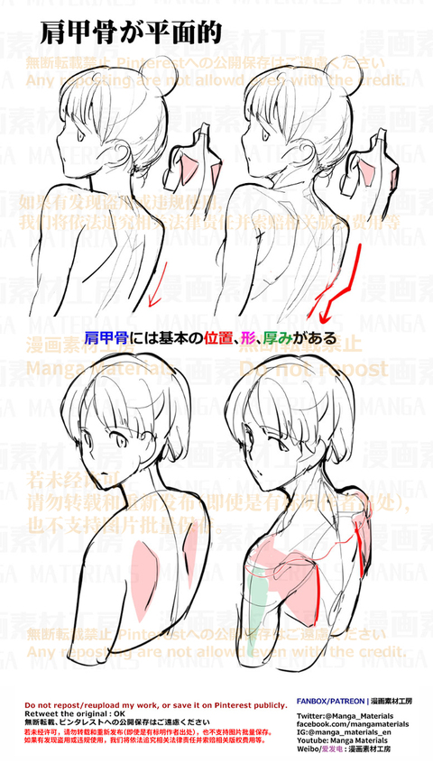 個人メモ：肩甲骨の筋肉変化