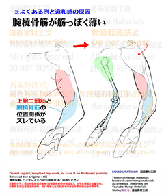 P站日榜