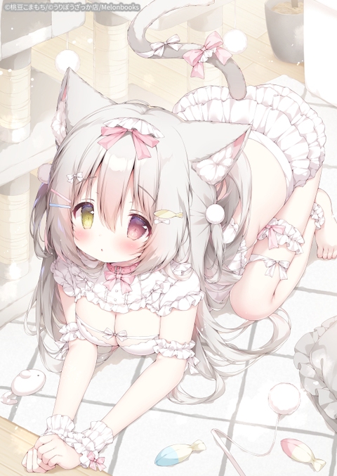 ご主人、遊んでにゃあ～