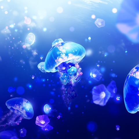 星降る天体浴🪼