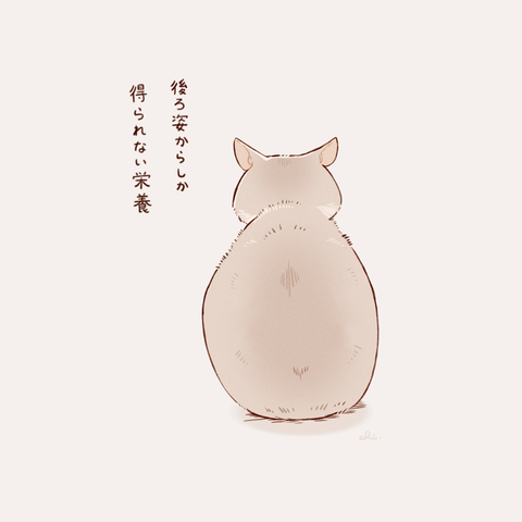 ねこらくがき
