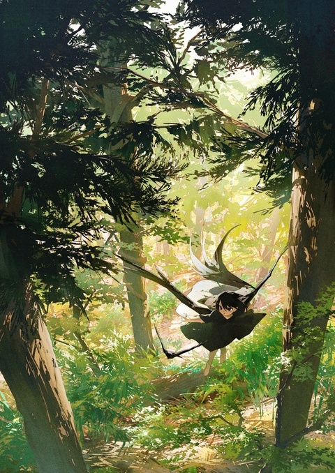 杉