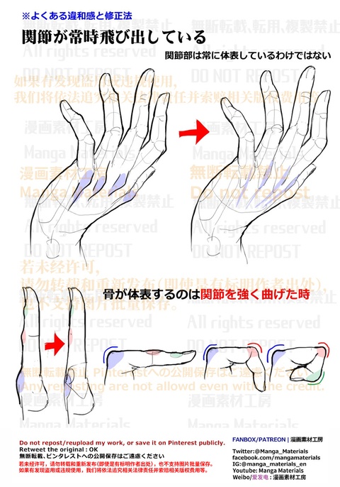 個人メモ：指関節の体表
